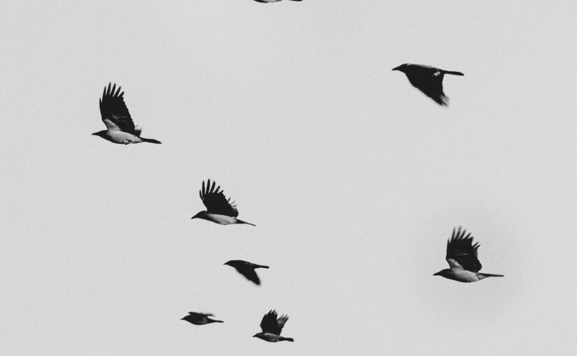 Überblick Vergangene Veranstaltungen